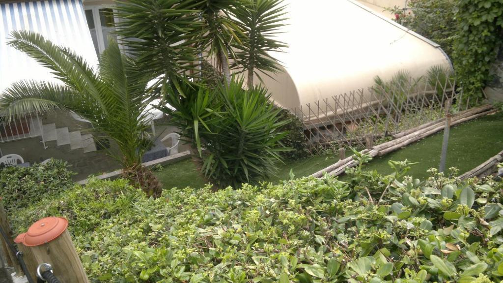 Hotel Le Conchiglie Levanto Zewnętrze zdjęcie