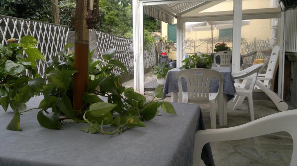 Hotel Le Conchiglie Levanto Zewnętrze zdjęcie